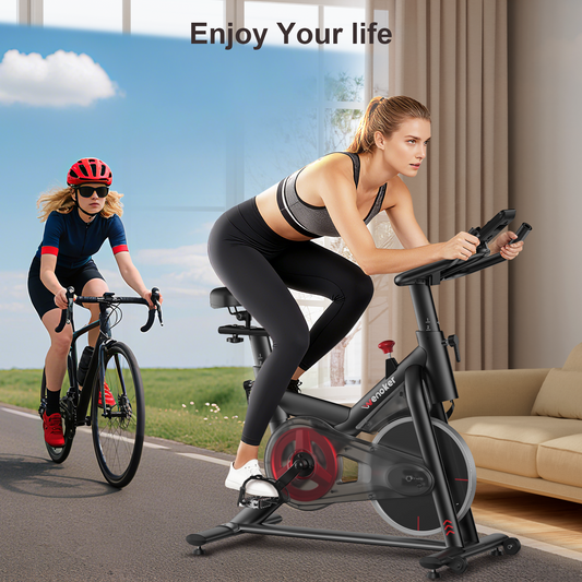 Wenoker JC317 Stationary Exercise Bike