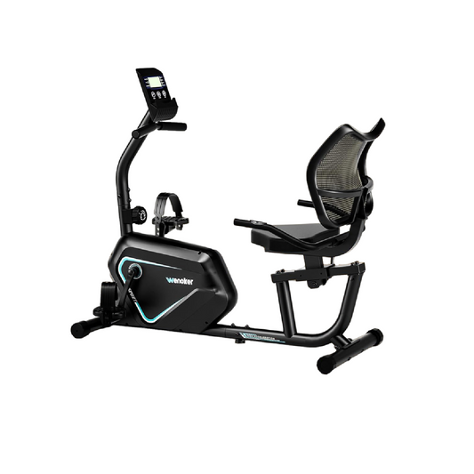 Wenoker K68 Cozy Rider Recumbent Exercise Bike